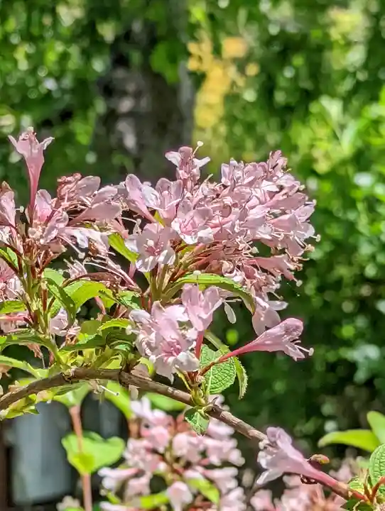 惠心院(京都府)