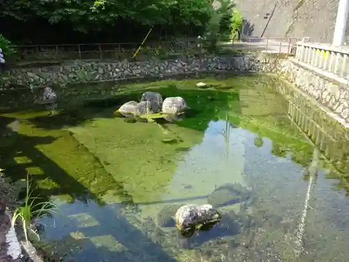 狩野厳島神社の周辺
