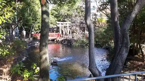 富岡八幡宮の庭園