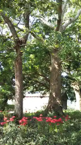 鹿島神社の自然