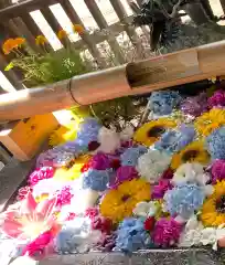 豊平神社の手水