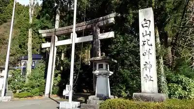 白山比咩神社の鳥居