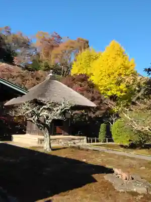 長壽寺（長寿寺）(神奈川県)