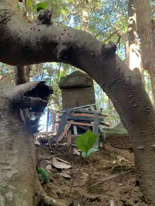 天宮神社(千葉県)