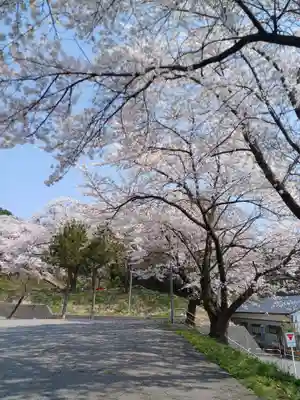 白狐山光星寺(山形県)