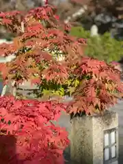 伊勢の国 四天王寺の自然