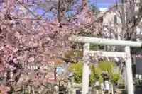 鳩森八幡神社の自然