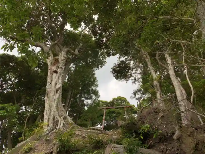 三宝荒神の自然
