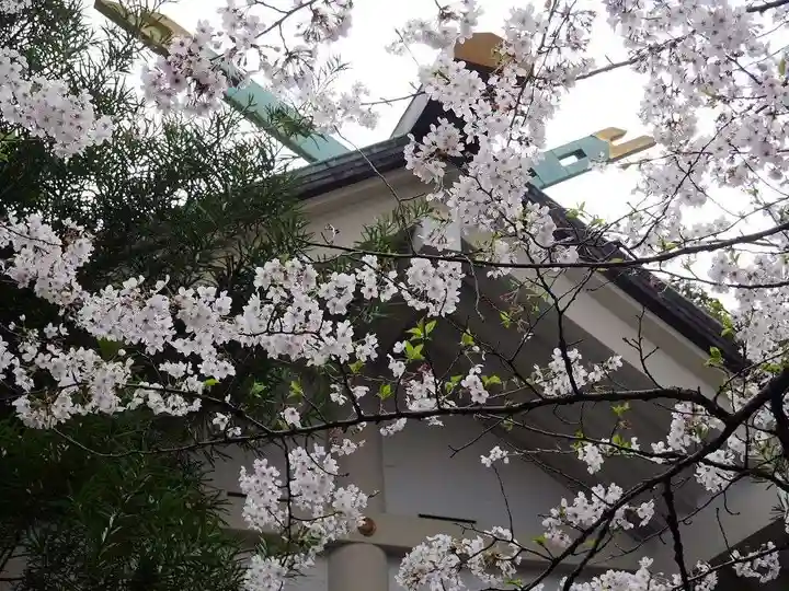 深澤神社の自然