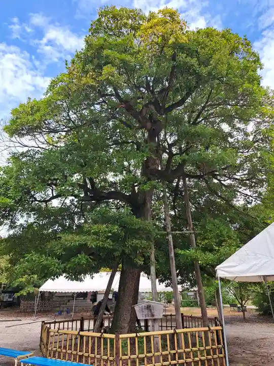 野田八幡宮(愛知県)
