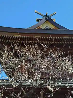 湯島天満宮(東京都)