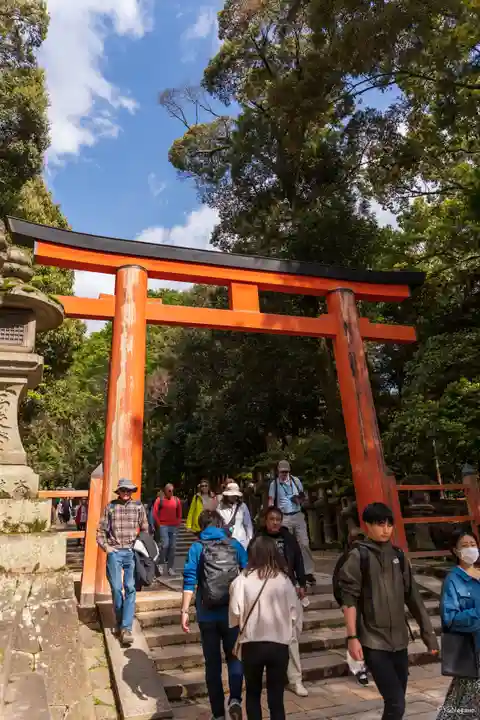 春日大社(奈良県)