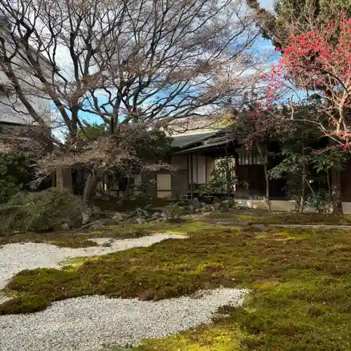 興聖寺(京都府)