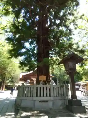 諏訪大社下社秋宮のその他建物