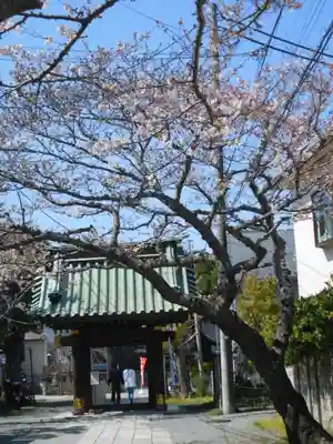 妙隆寺の山門・神門