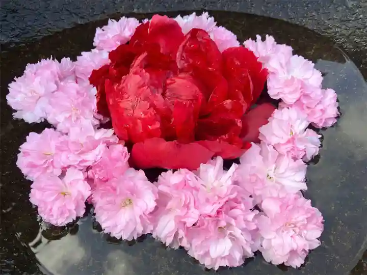 真言宗 善通寺派 薬王寺(香川県)