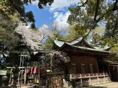 座間神社(神奈川県)