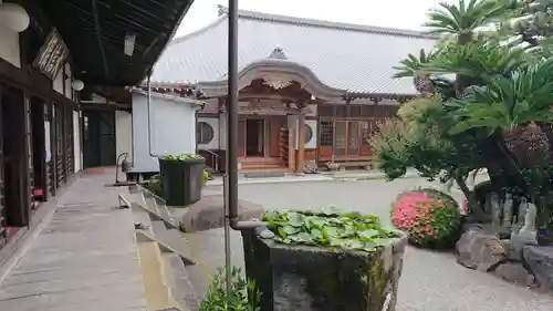 松蔭寺(静岡県)