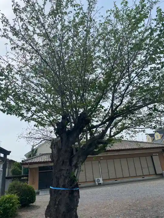 長良神社(群馬県)
