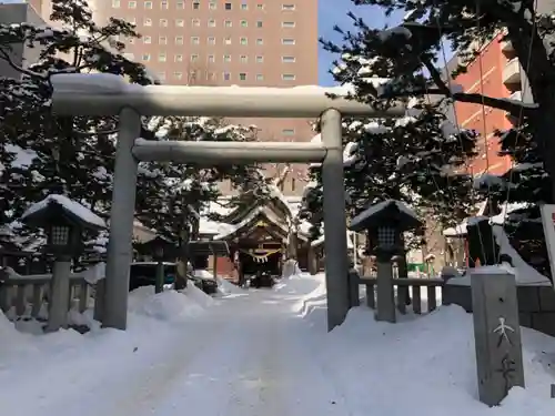 北海道神宮の鳥居