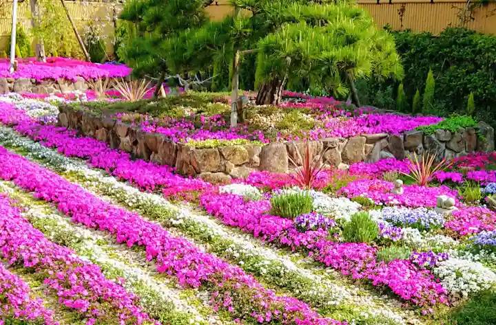 寿量山 速成寺の庭園