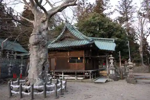 安達太良神社の景色