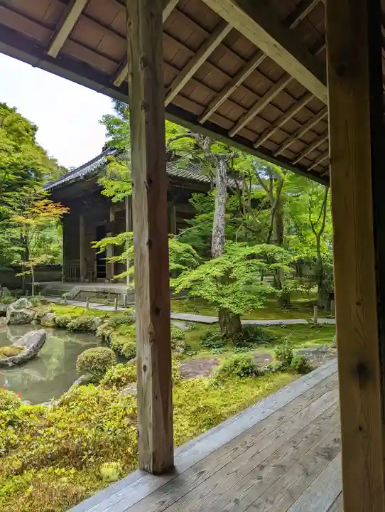 蓮華寺(洛北蓮華寺)(京都府)