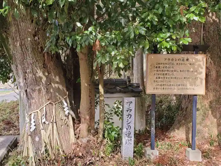 三坂神社の自然
