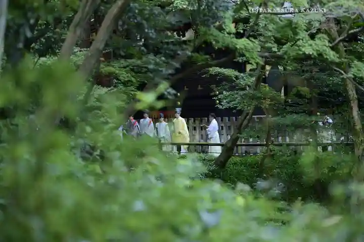 鶴岡八幡宮(神奈川県)