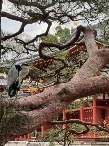 平等院(京都府)