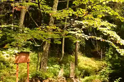戸隠神社火之御子社(長野県)