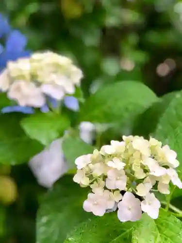 楽法寺（雨引観音）の自然