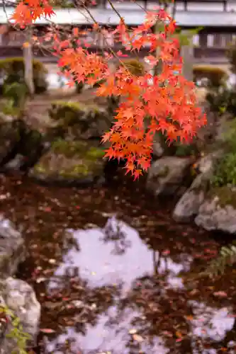 宗像大社(福岡県)