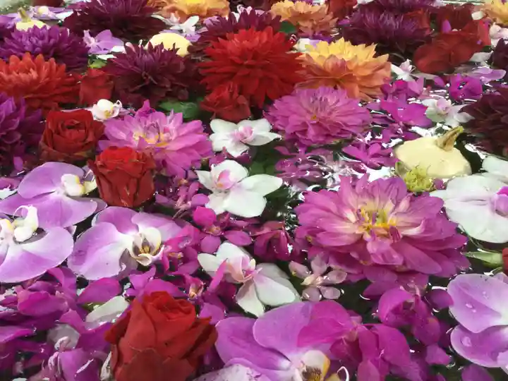 住吉神社の手水舎