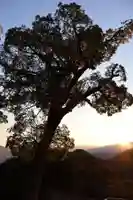 金刀比羅宮(香川県)