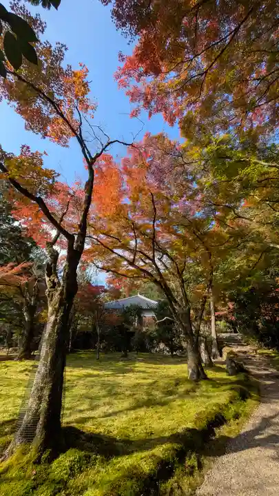 神護寺(京都府)