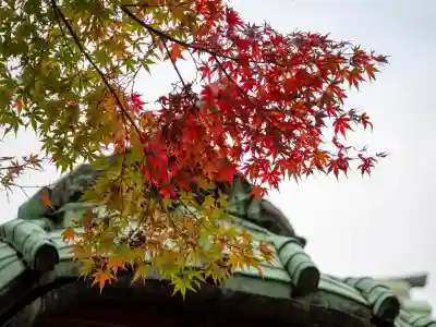 赤坂氷川神社(東京都)
