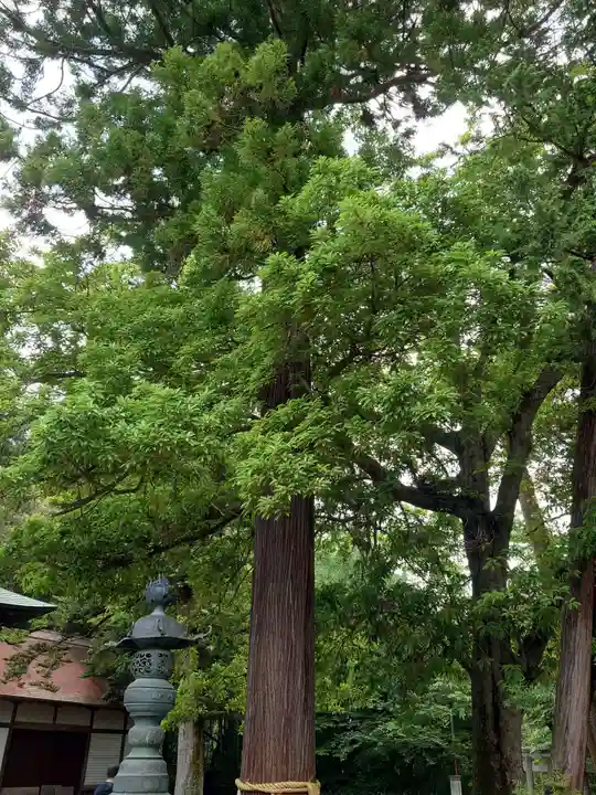 青葉神社(宮城県)