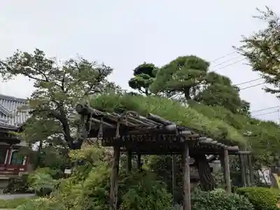 長照寺(東京都)
