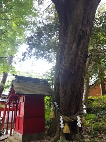 佐伎治神社(福井県)