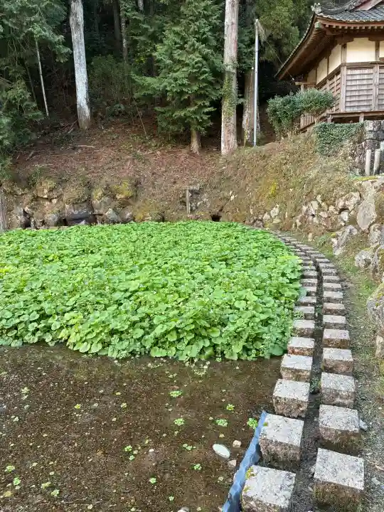 水神社の{uncategorized: "未分類", other: "その他", undefined: "問題あり", building: "その他建物", grave: "お墓", sacred_gate: "鳥居", guardian: "狛犬", statue: "像", buddha: "仏像", history: "歴史", nature: "自然", garden: "庭園", animal: "動物", pagoda: "塔", temizu: "手水舎", mountain_gate: "山門・神門", sanctuary: "本殿・本堂", subordinate: "末社・摂社", art: "芸術", scenery: "景色", jizo: "地蔵", ema: "絵馬", goshuin: "御朱印", omikuji: "おみくじ", items: "授与品その他", amulet: "お守り", goshuincho: "御朱印帳", eats: "食事", festival: "お祭り", votive_dance: "神楽", shichigosan: "七五三参", wedding: "結婚式", experience: "体験その他", initially: "初詣", around: "周辺", anti_infection: "感染症対策"}
