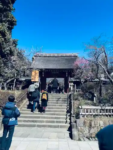 深大寺(東京都)