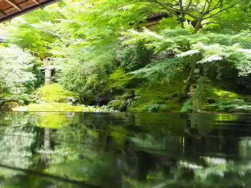 光明寺瑠璃光院の庭園