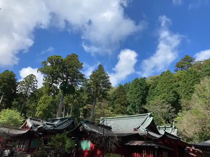 箱根神社(神奈川県)