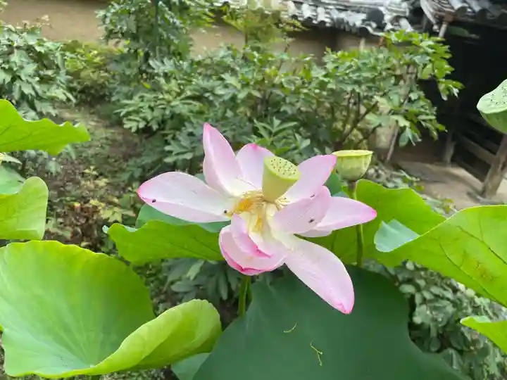 當麻寺西南院(奈良県)