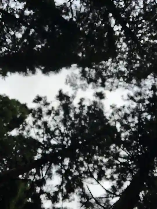 上色見熊野座神社(熊本県)