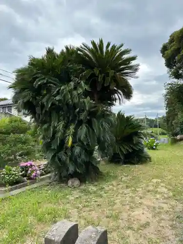 静間神社(島根県)