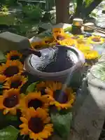 吾平津神社の手水舎