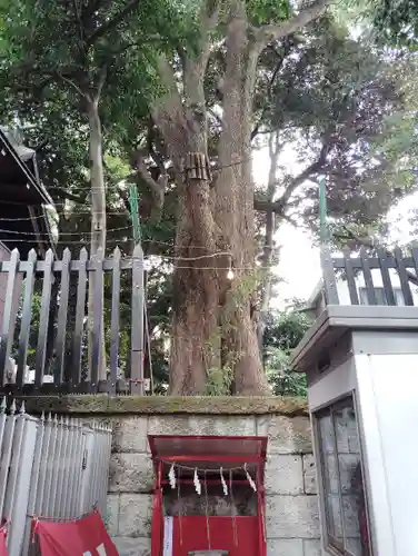 太子堂八幡神社(東京都)