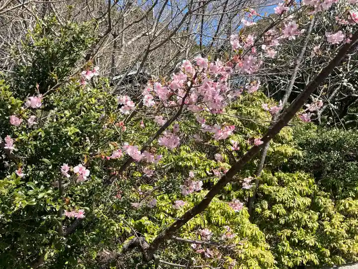 鎌倉宮(神奈川県)
